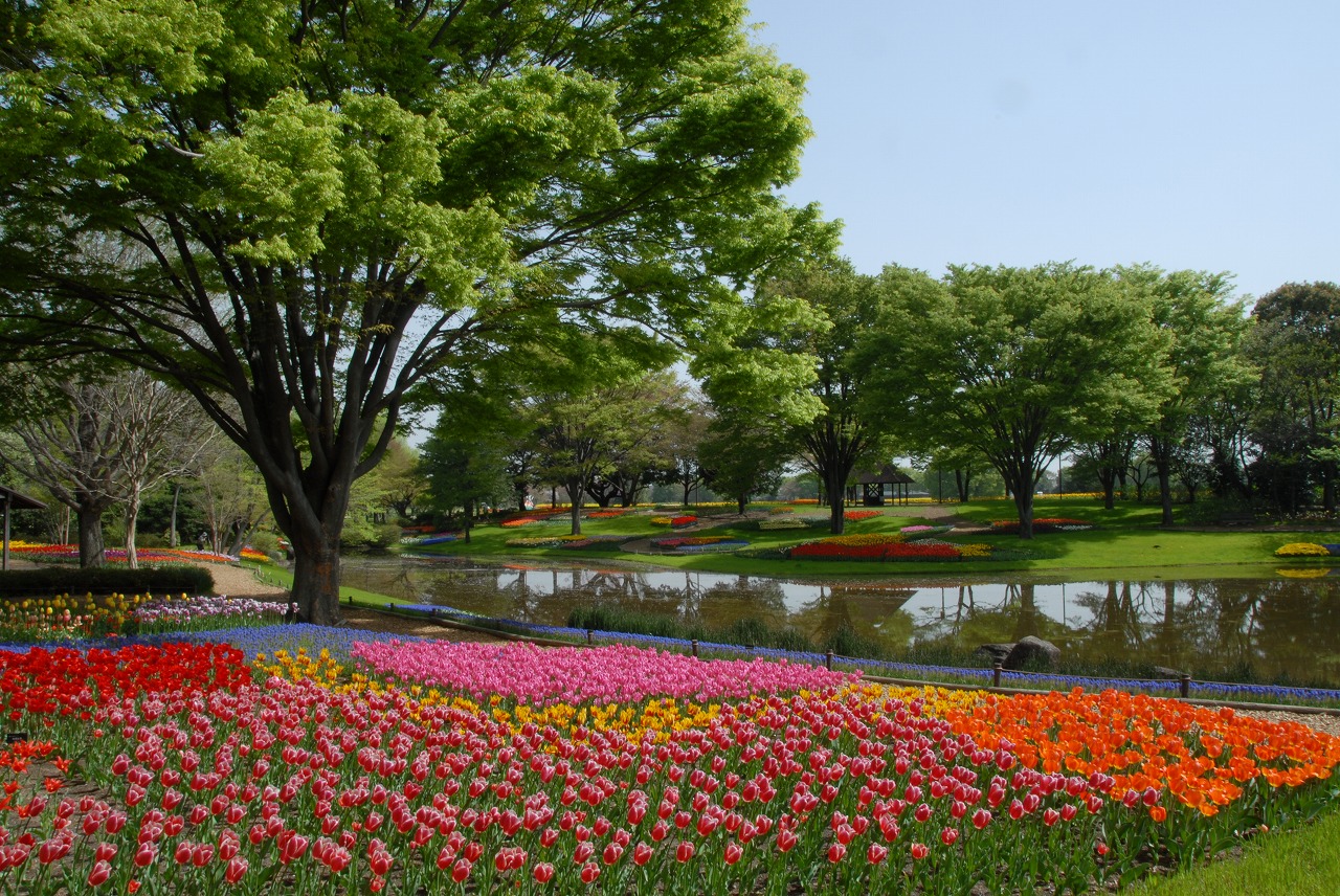 一般財団法人公園財団
